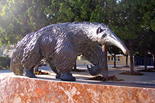 Anteater Bronze Statue