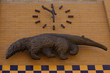 Anteater Clock