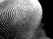 Featured Video: Fingerprint Evidence