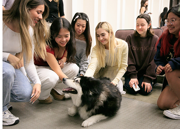 students looking at dog