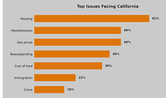 chart showing top issues facing California