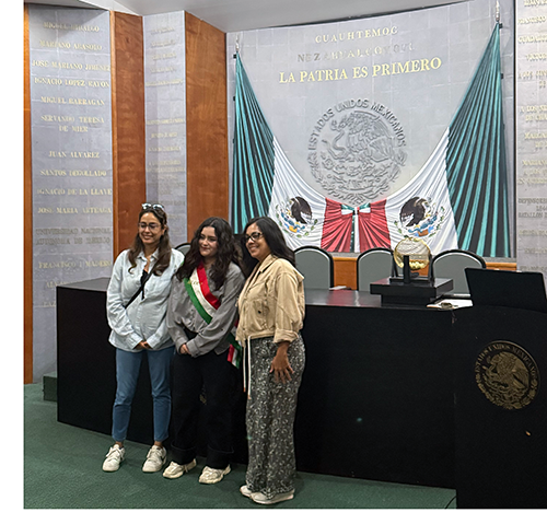 Mexico field study