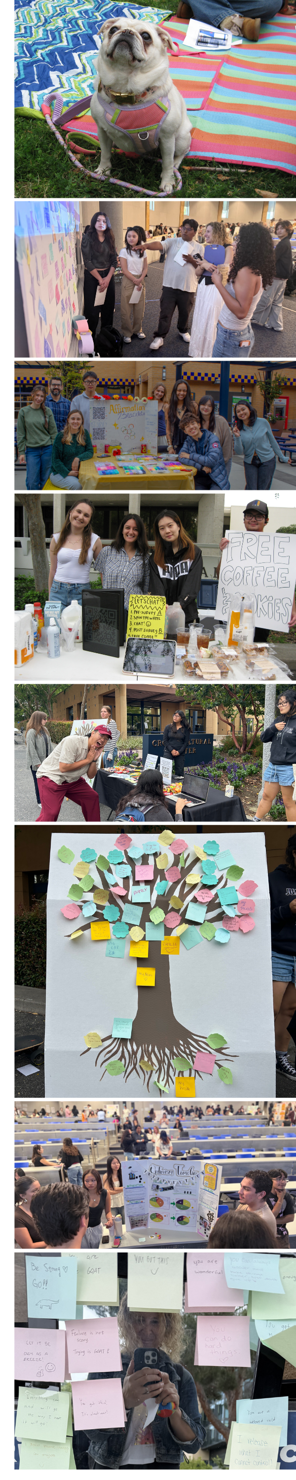 scenes from Happiness Week activities and class project presentations