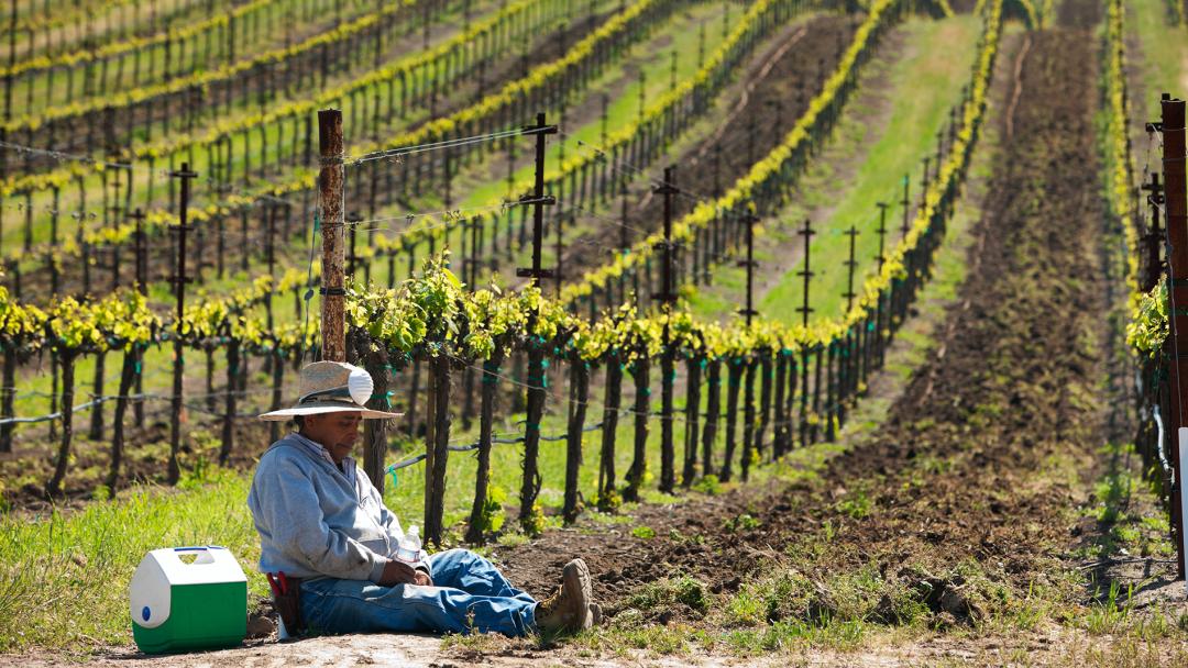 farm worker in a farm