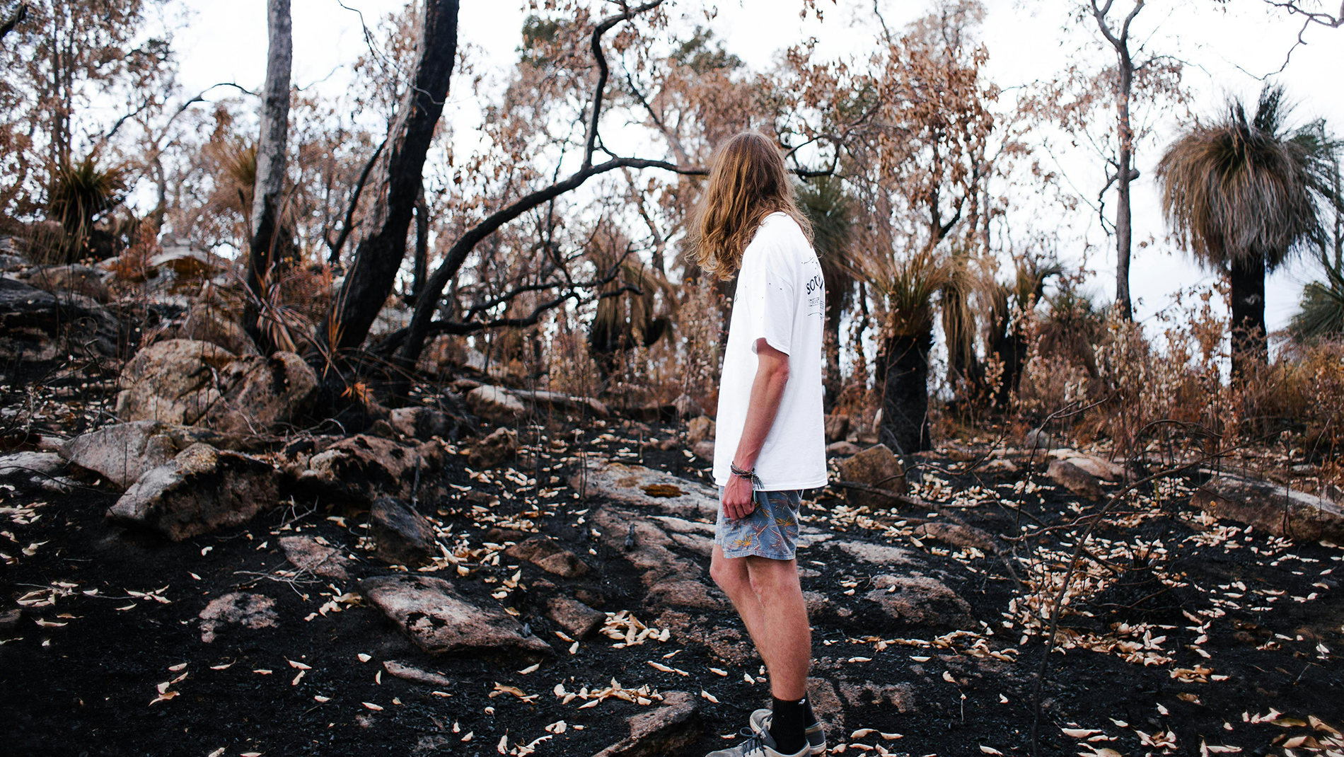 man looking at wildfire devastation