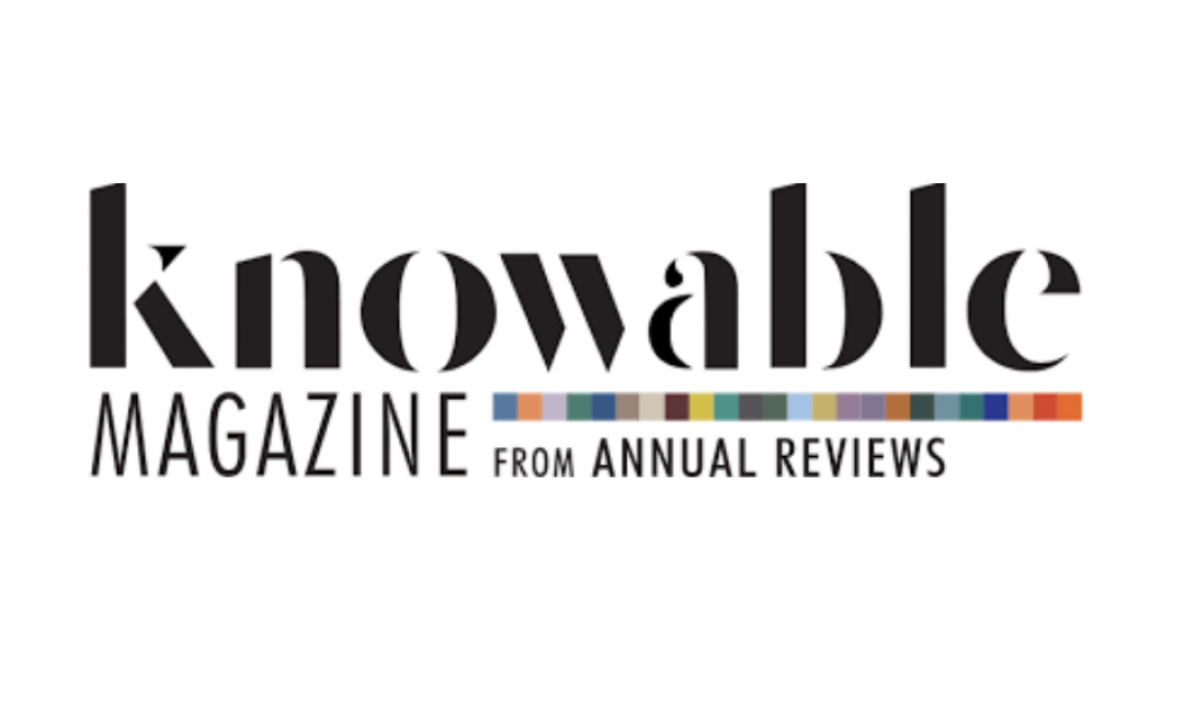 Knowable Magazine