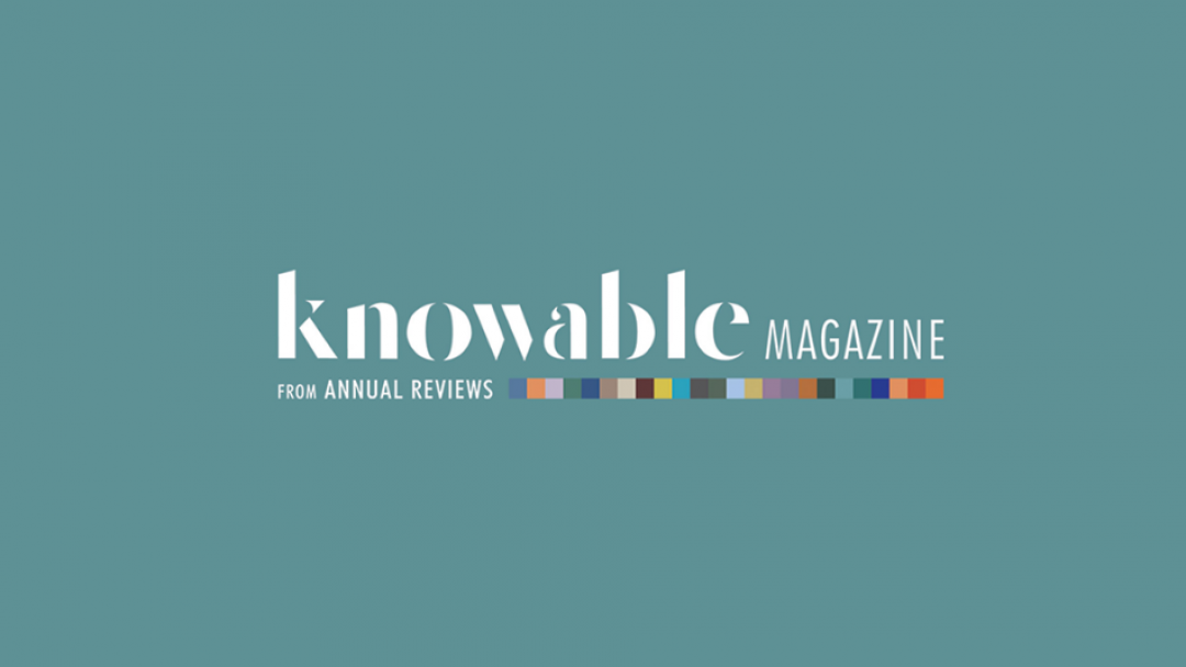 Knowable magazine logo