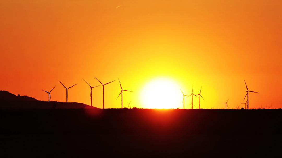 sunset on pinwheels