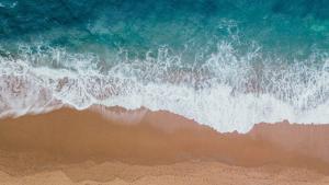 beach waves